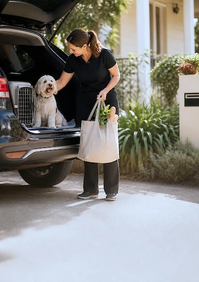 Pets, errands and away-from-home checks